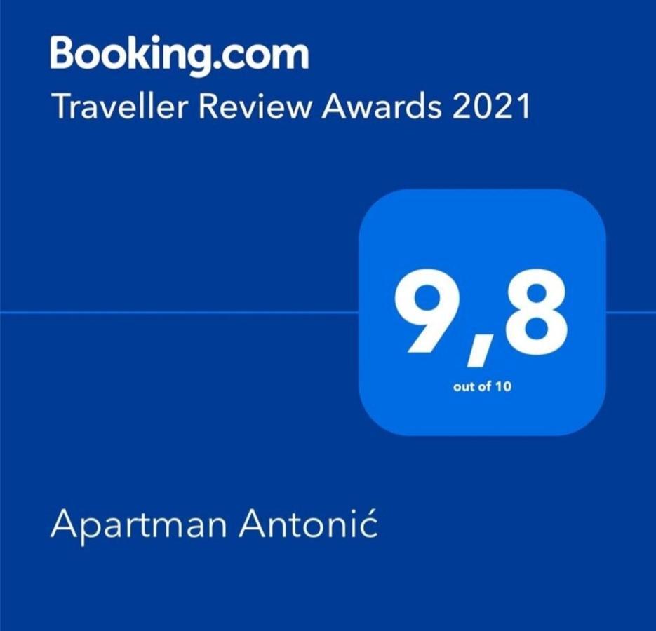 App Antonic Zrinka *